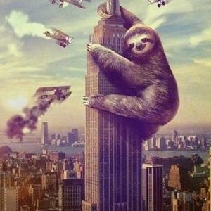 Meet your Posher, Nathaniel